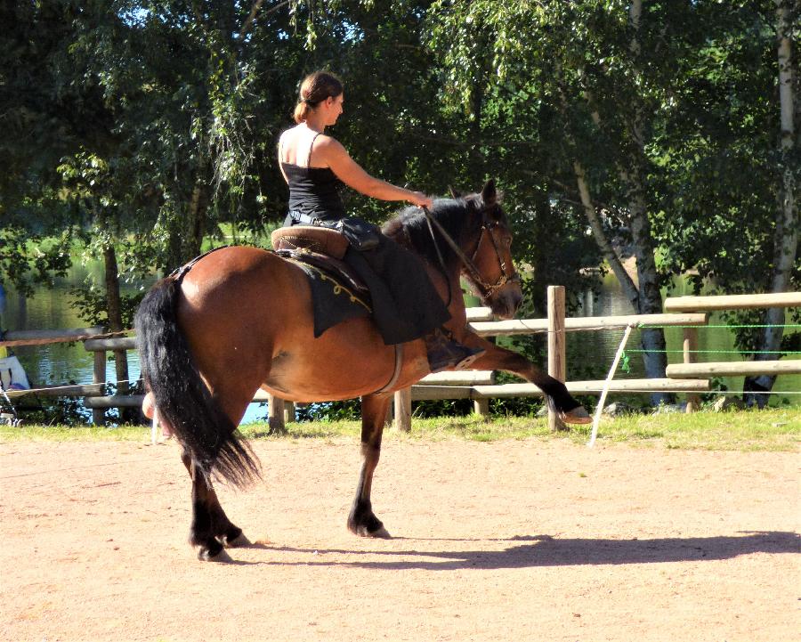 Stage quitation Allier Montagne Bourbonnaise