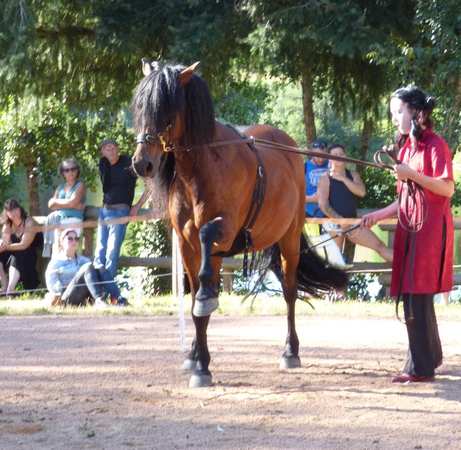 sejour Allier Montagne Bourbonnaise photo 5