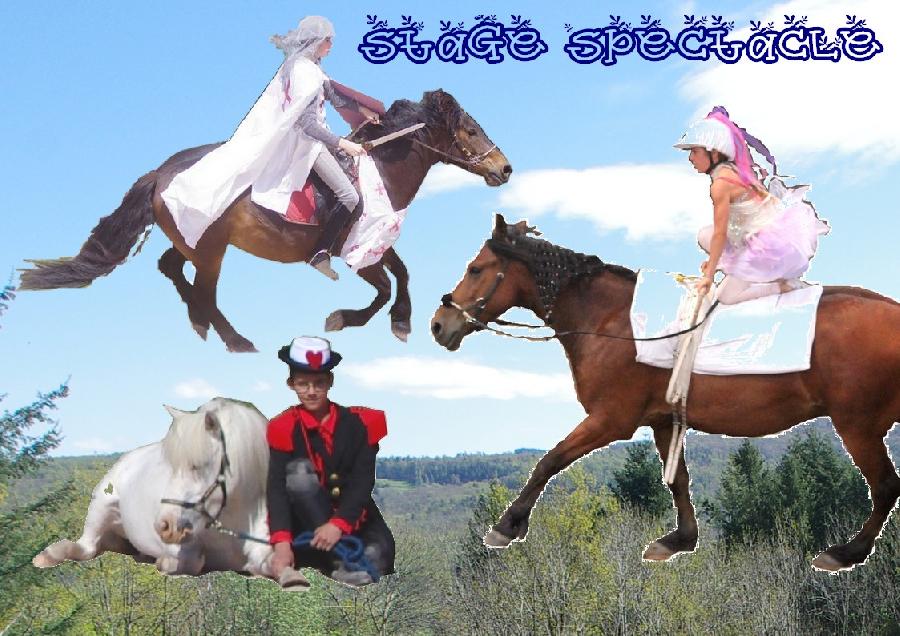stage Equitation artistique Allier