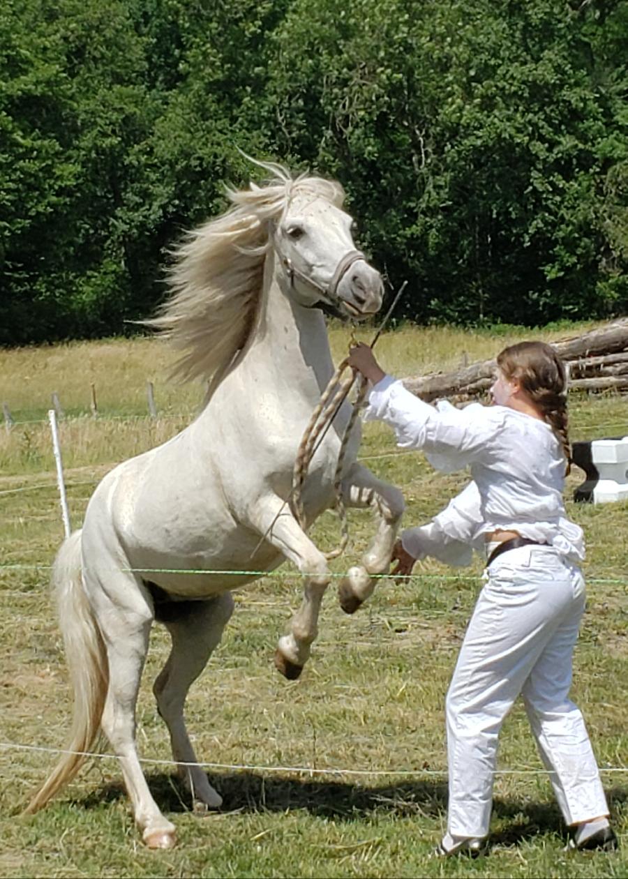 Randonne questre Allier Montagne Bourbonnaise photo 2