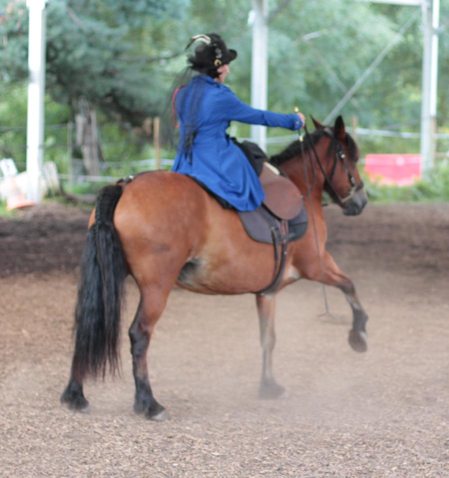 Balade  cheval Allier Montagne Bourbonnaise photo 2