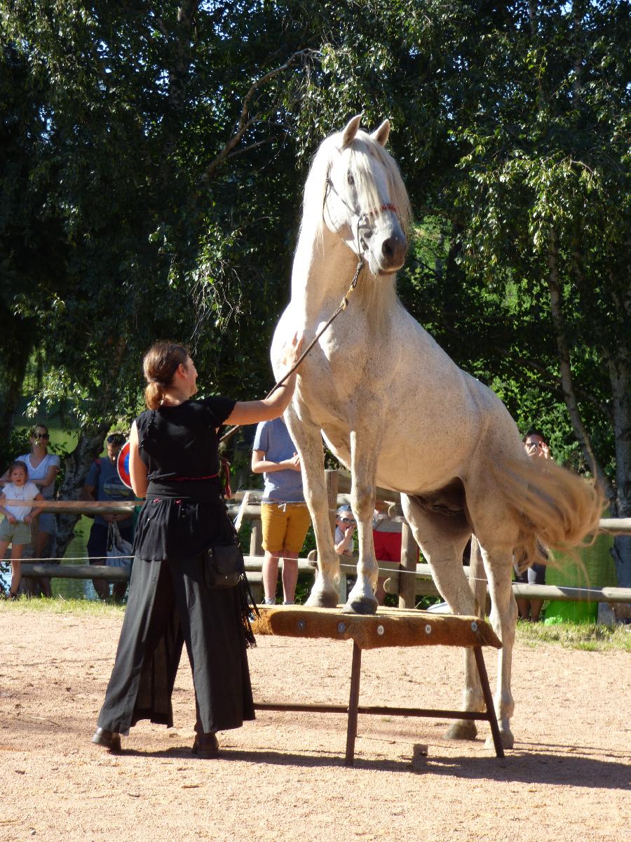 Stage quitation   photo 4