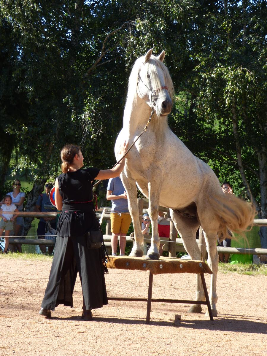 Balade  cheval Allier Montagne Bourbonnaise photo 4