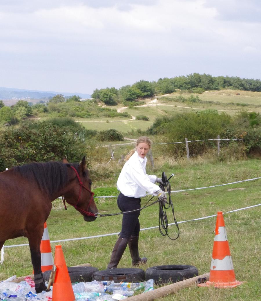 Stage quitation   photo 4