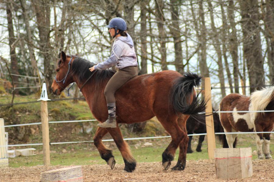 Stage quitation   photo 6