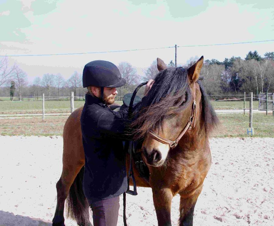 stage Equitation naturelle Allier