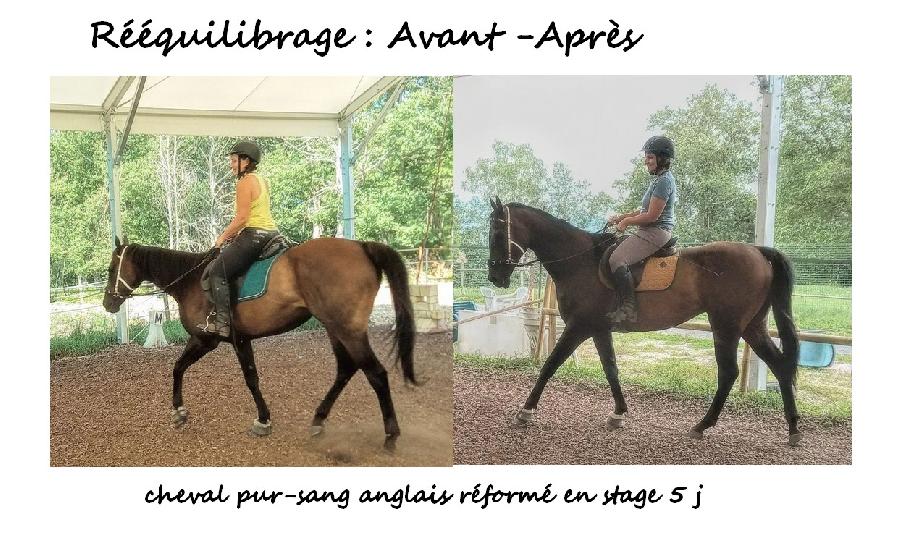 Stage quitation   photo 5
