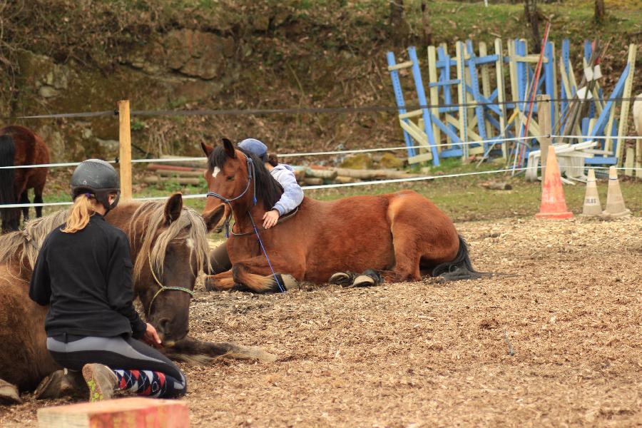 stage Equitation artistique Allier
