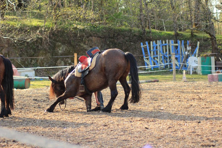 Stage quitation Allier Montagne Bourbonnaise photo 3