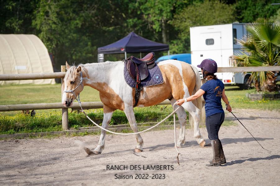 Stage quitation   photo 4