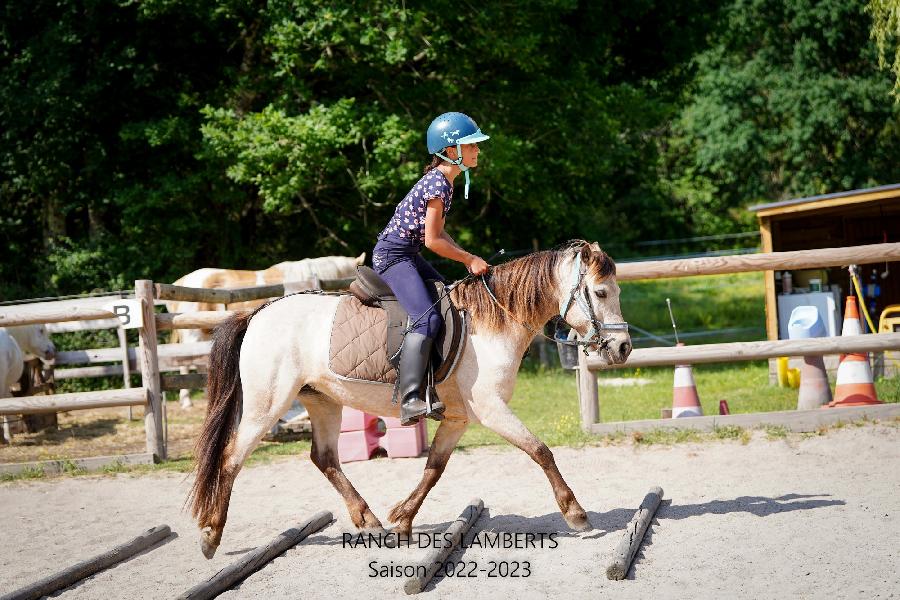 Stage quitation   photo 2