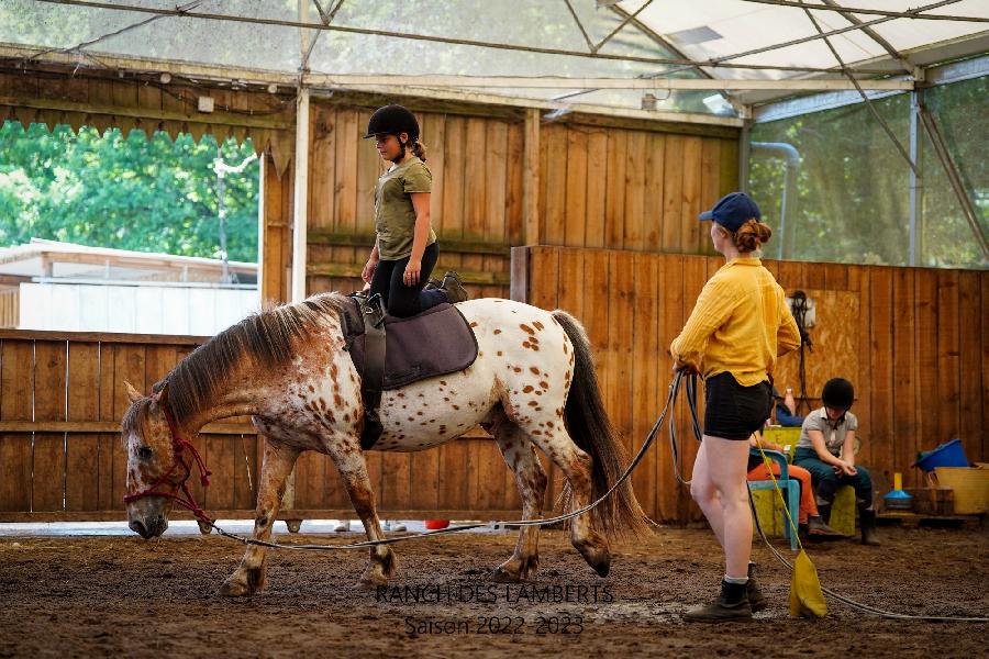 Stage quitation   photo 3