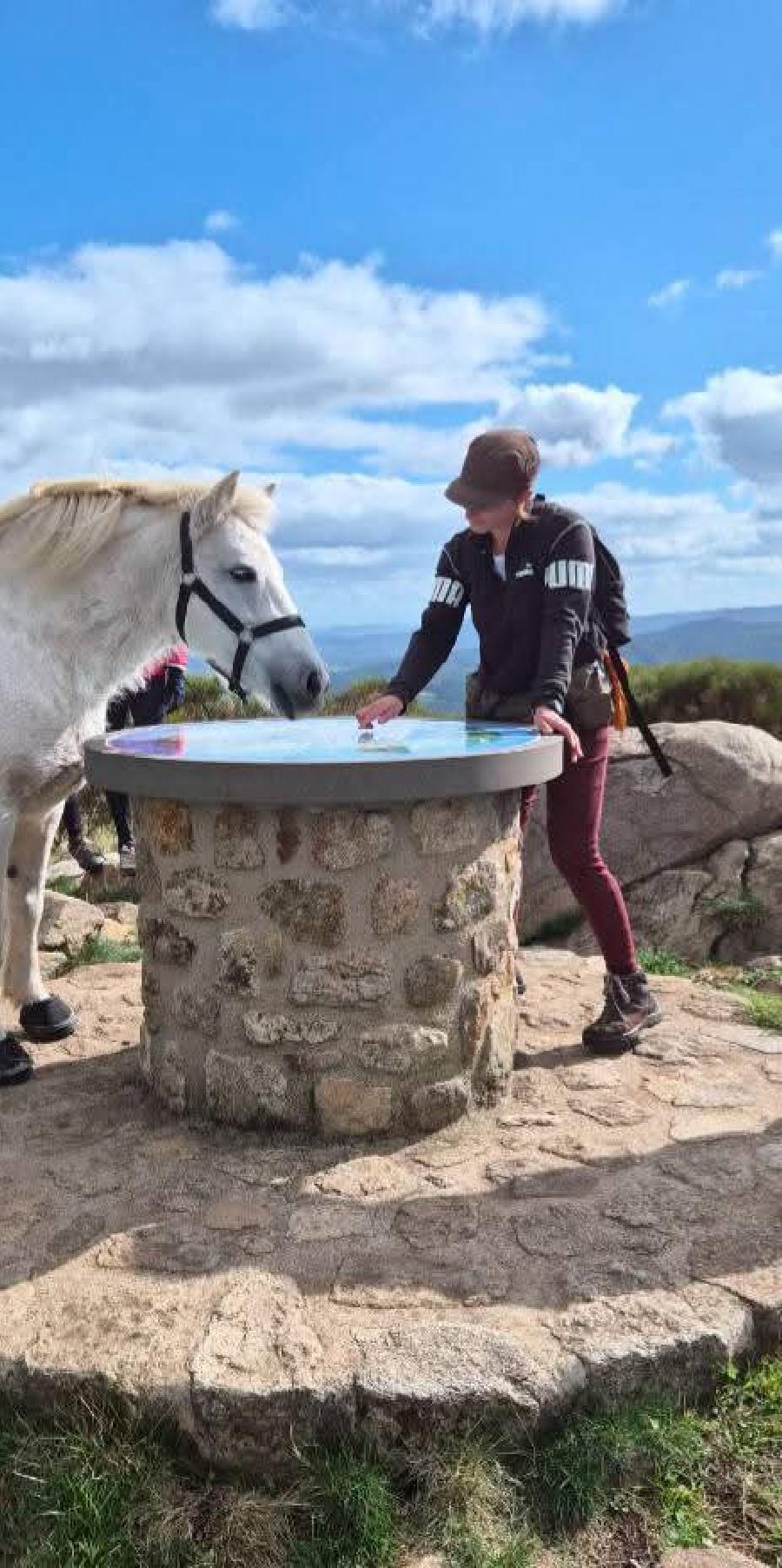 S�jour �questre   photo 2