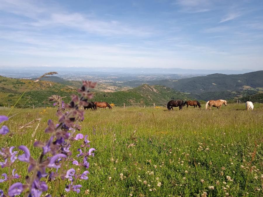 S�jour �questre   photo 4