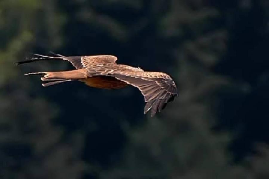 Stage �quitation   photo 2