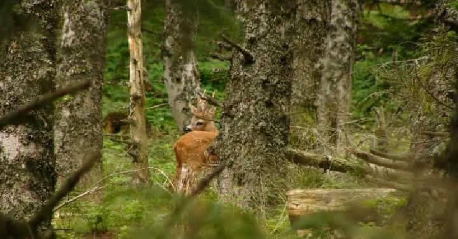 Stage �quitation   photo 3