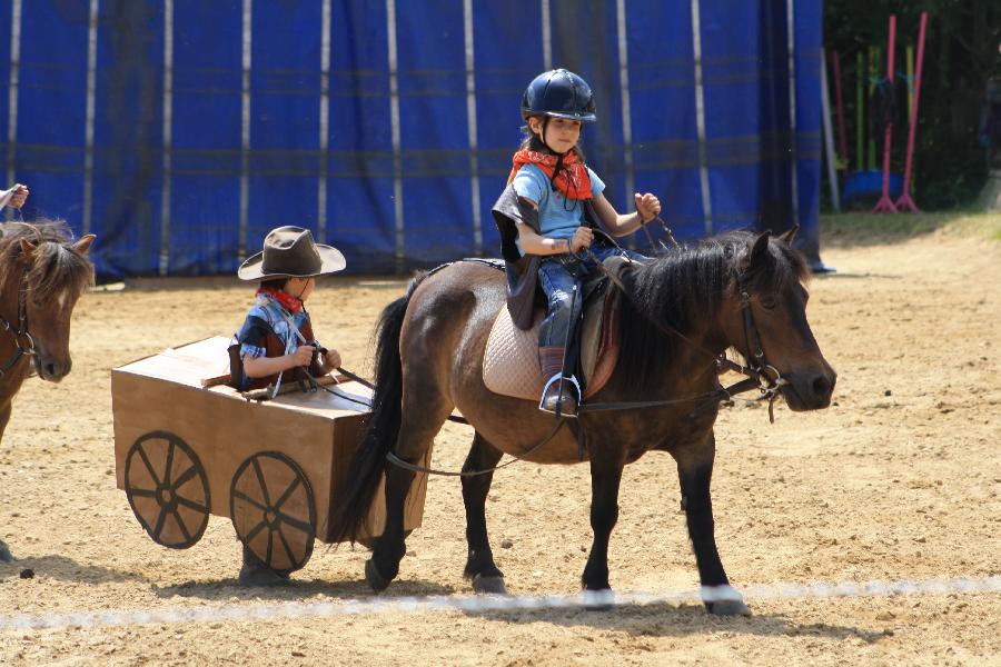 stage Equitation classique Rhne