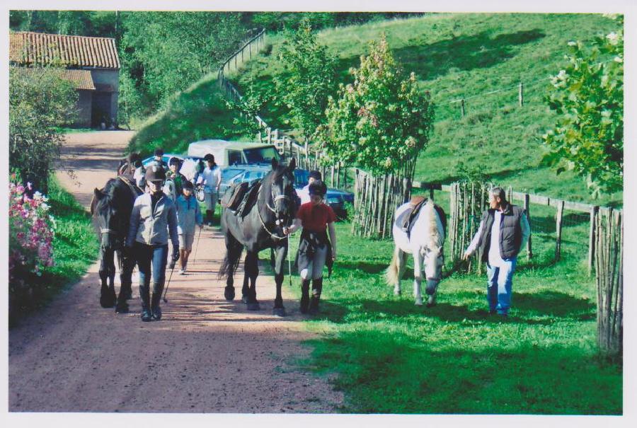 Stage quitation   photo 2