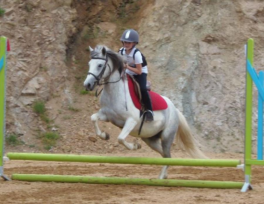 Stage quitation   photo 3