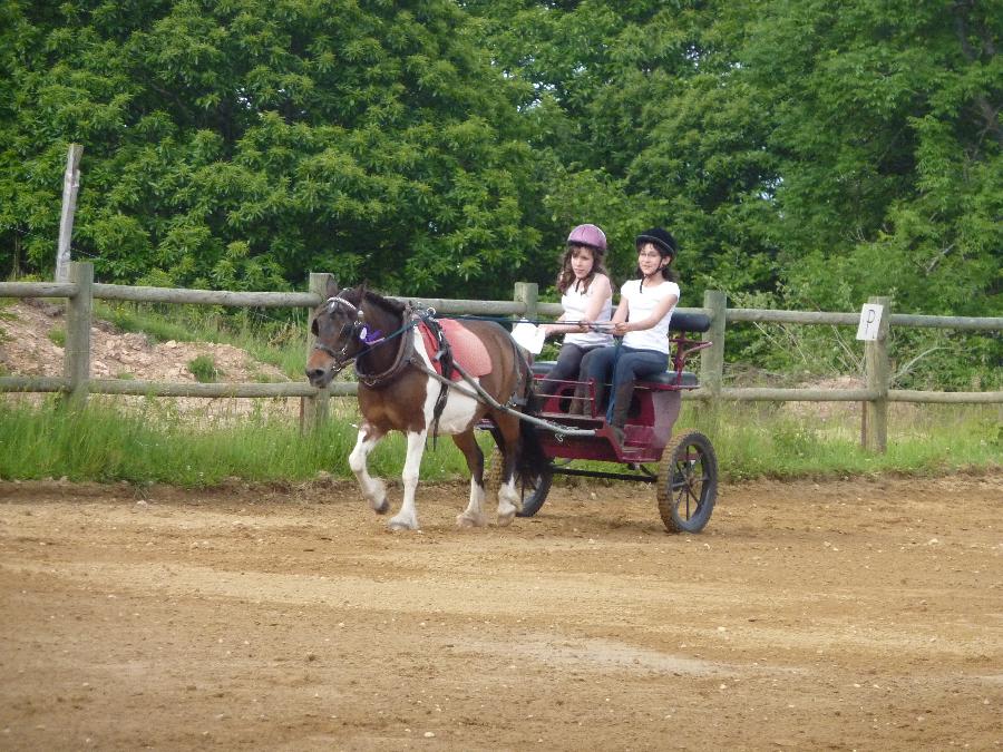 Stage quitation   photo 4