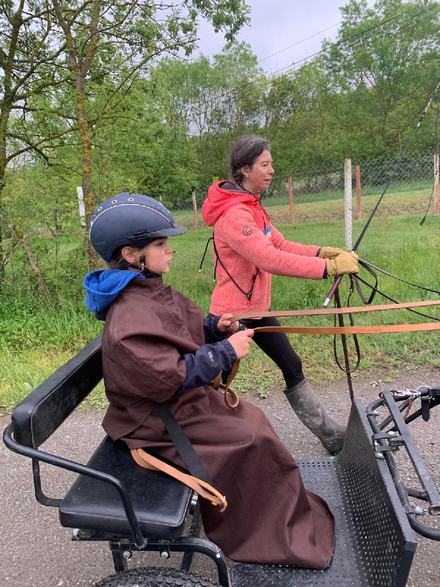 S�jour �questre   photo 2