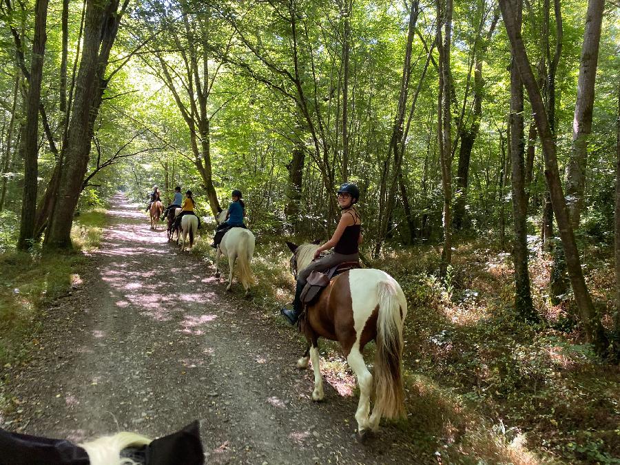 S�jour �questre   photo 3