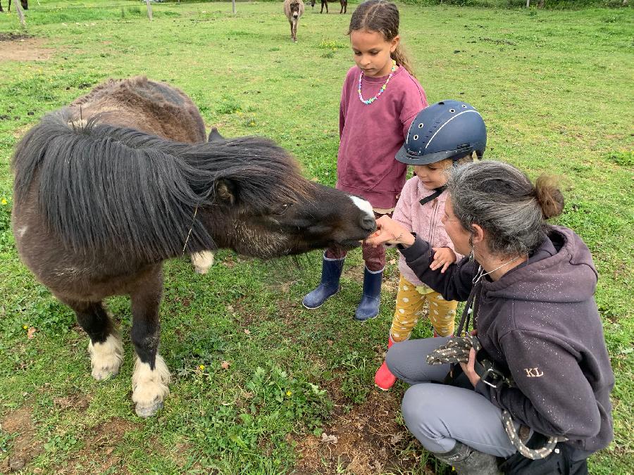 S�jour �questre   photo 4