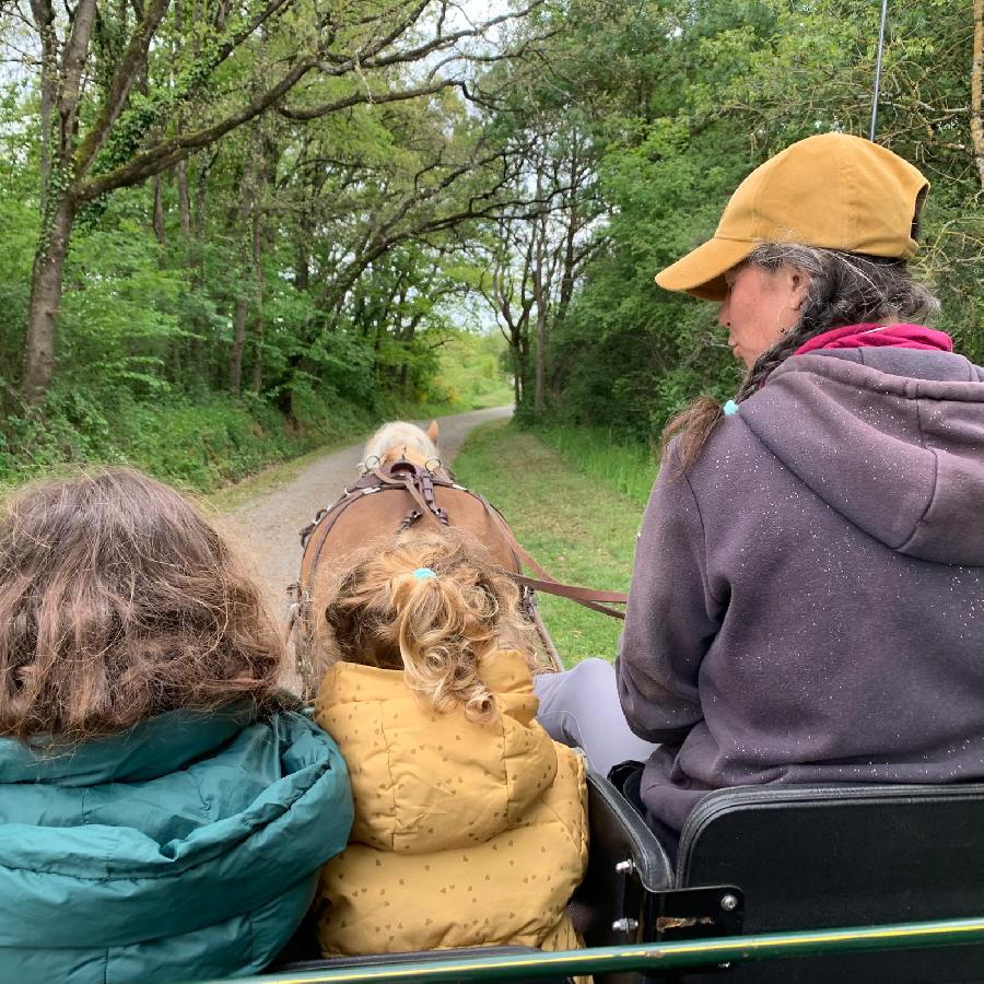 S�jour �questre   photo 5