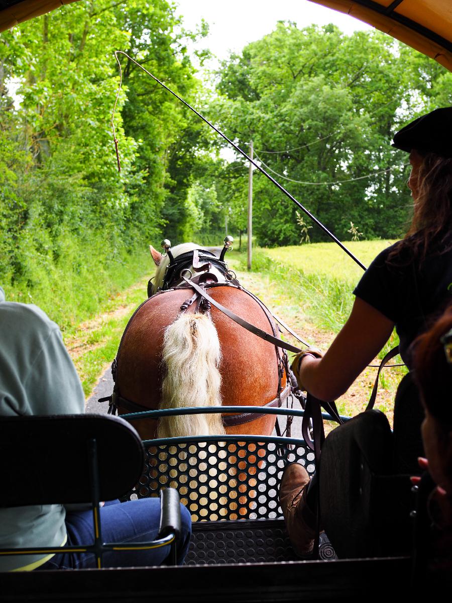 Stage �quitation   photo 2