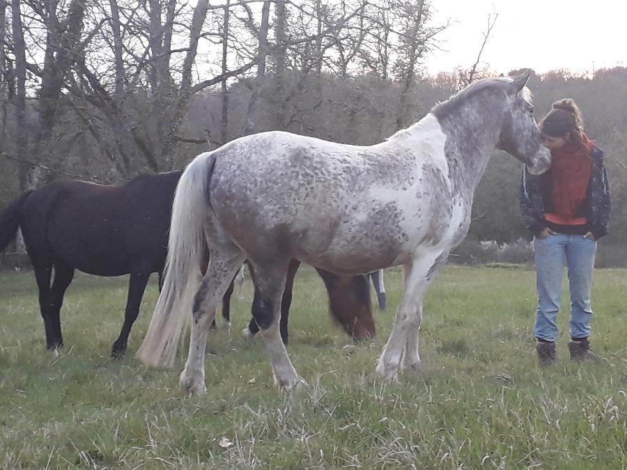 sejour Dordogne Prigord