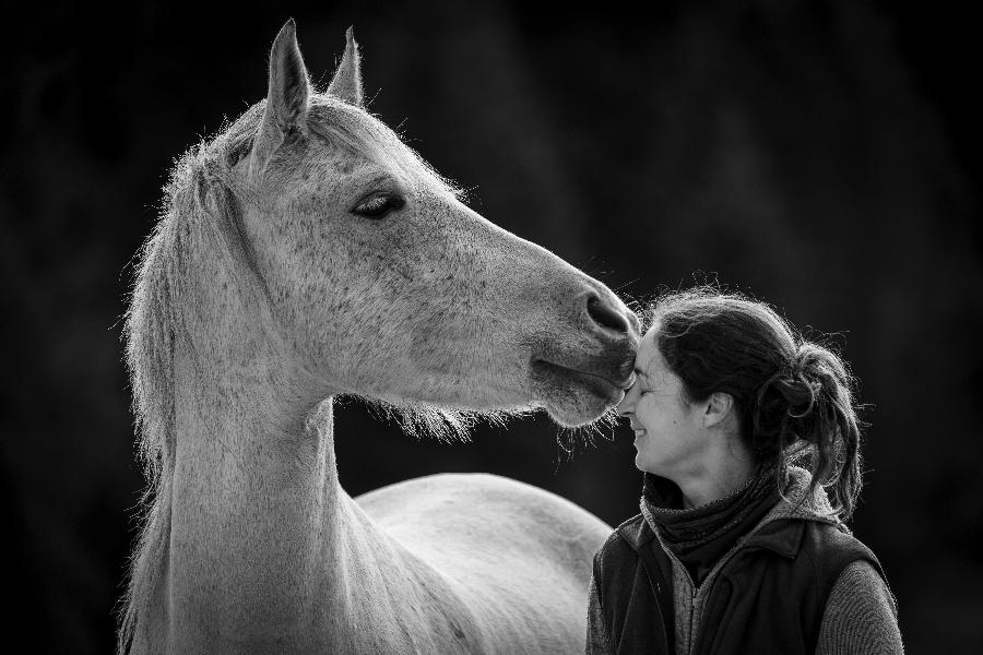 stage Equitation naturelle Jura