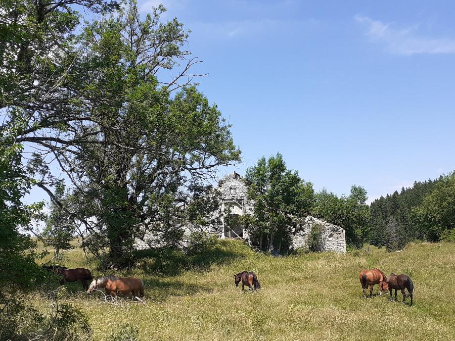 rando Randonne questre Jura