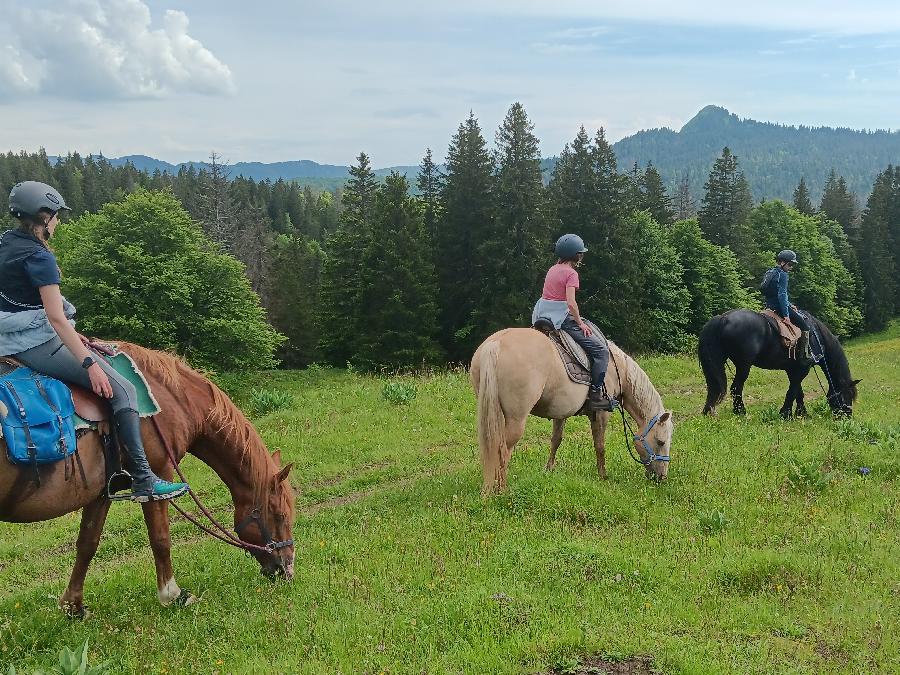stage Equitation de pleine nature Jura