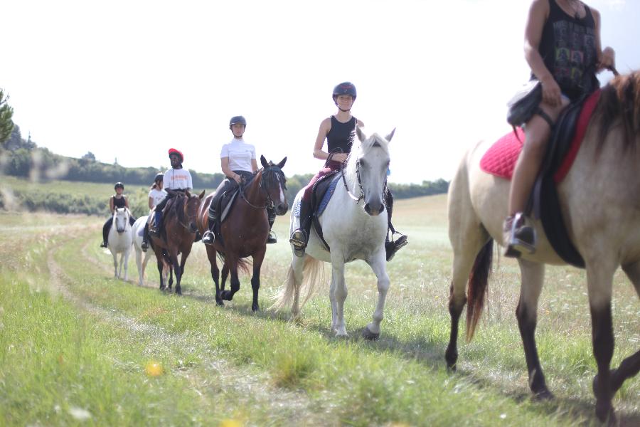 rando Randonne questre Charente-Maritime