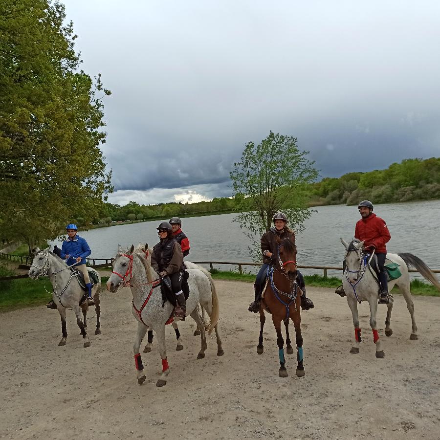 Sjour questre Yvelines Fort de Rambouillet