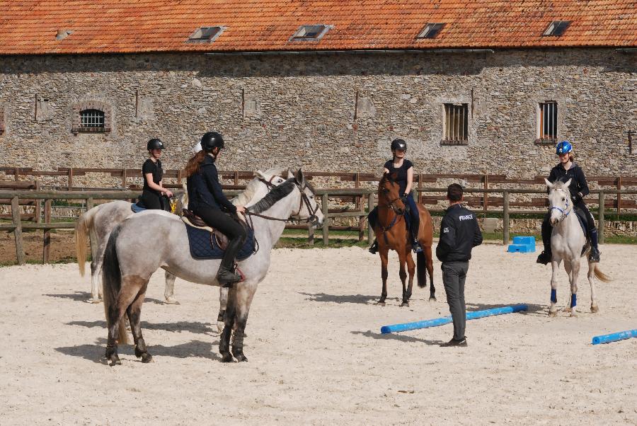 stage Endurance questre Yvelines