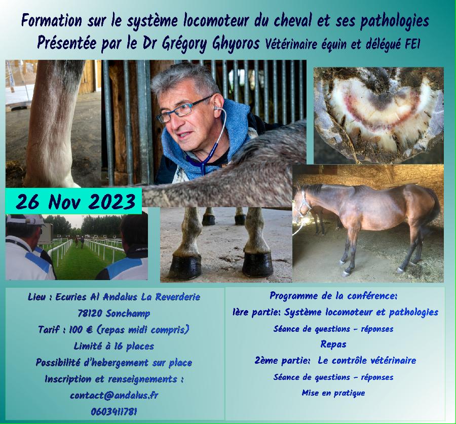 stage Soigner son cheval Yvelines