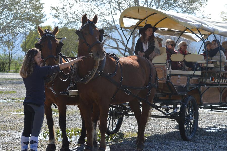 Stage quitation Alpes de Haute-Provence 