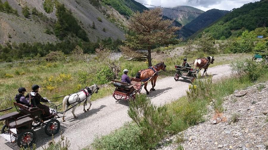 Sjour questre Alpes de Haute-Provence  photo 3