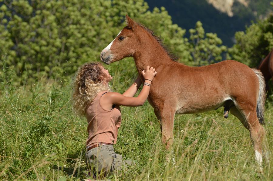 Randonn�e �questre   photo 3