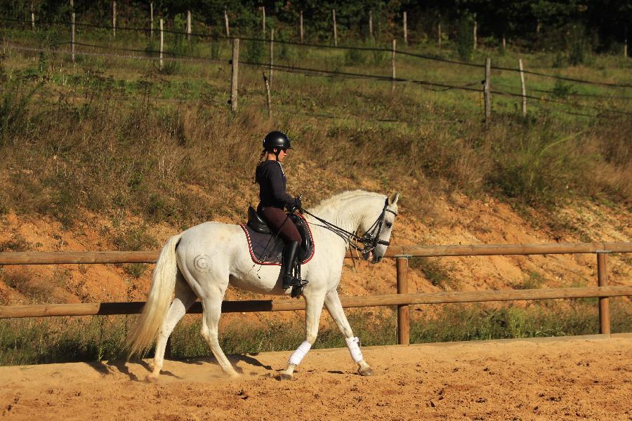 stage Equitation classique Dordogne