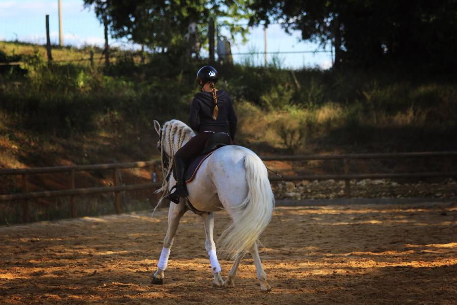 Sjour questre   photo 5