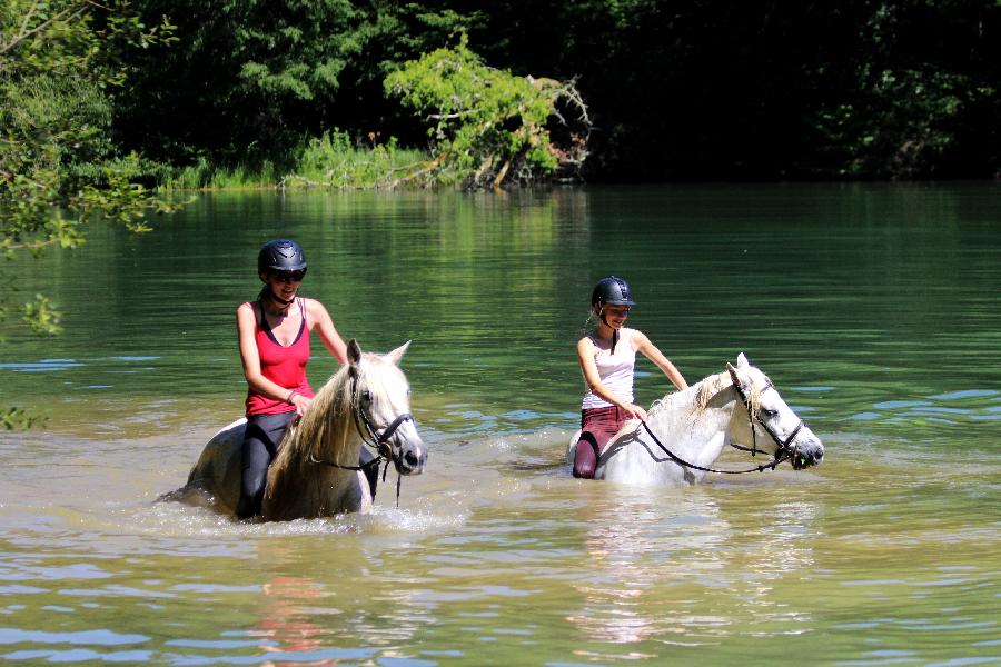 stage Dressage Dordogne