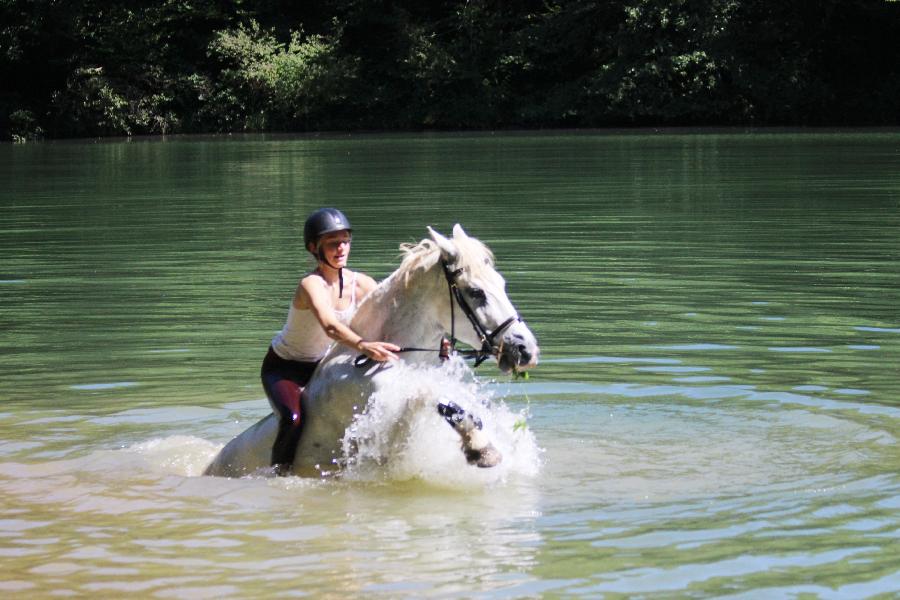 Sjour questre Dordogne Prigord photo 3