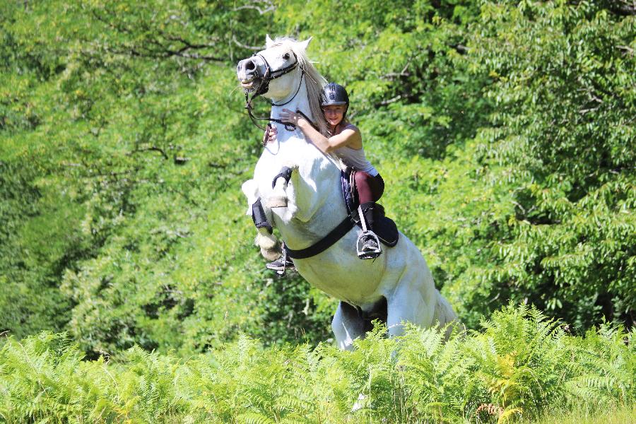 Stage quitation Dordogne Prigord photo 6