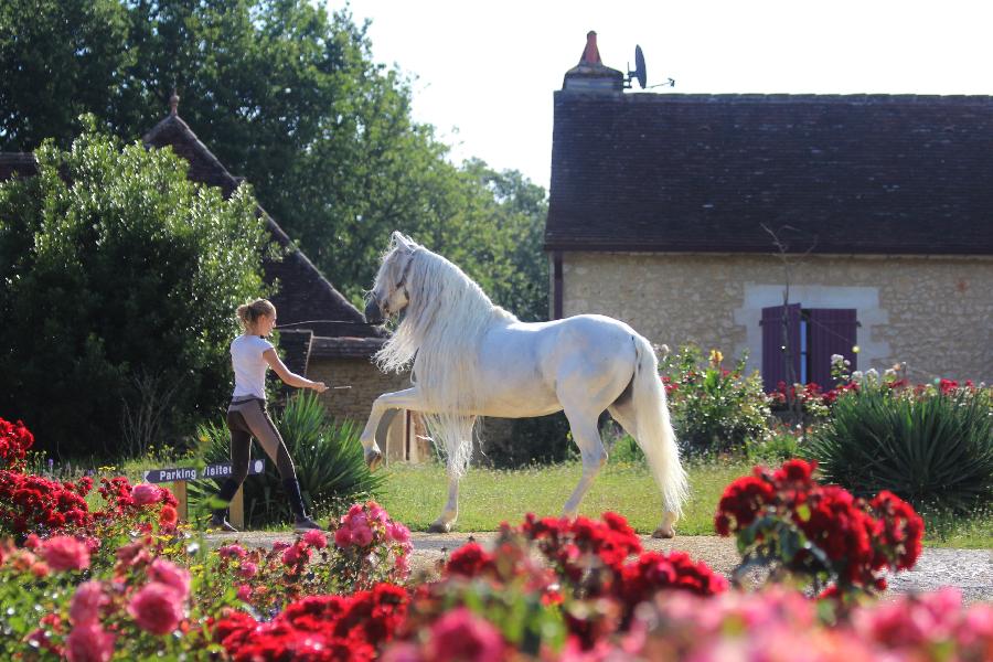 rando Balade  cheval Dordogne