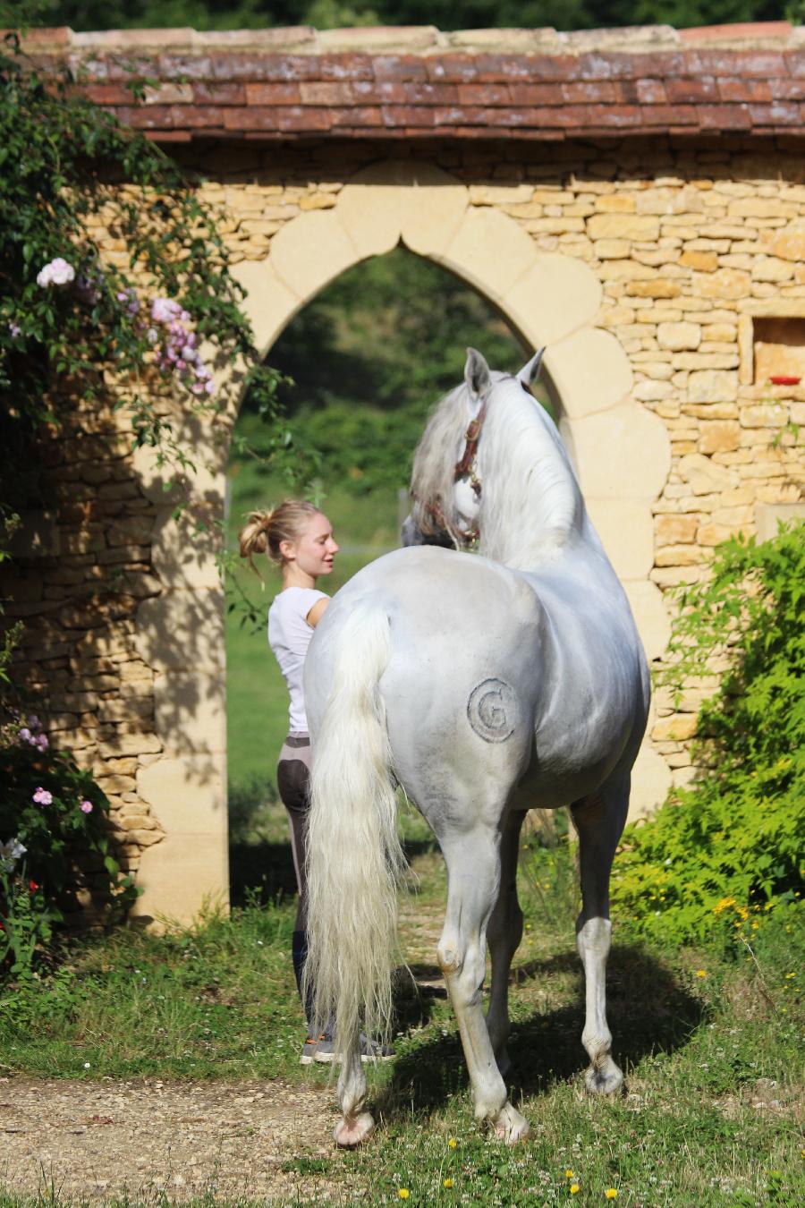 Stage quitation Dordogne Prigord photo 2