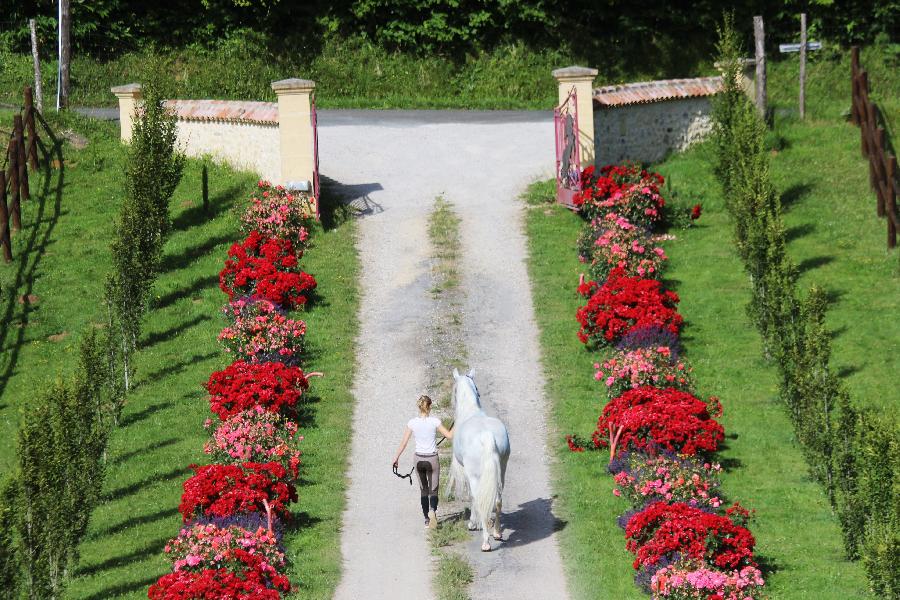 Stage quitation Dordogne Prigord photo 3