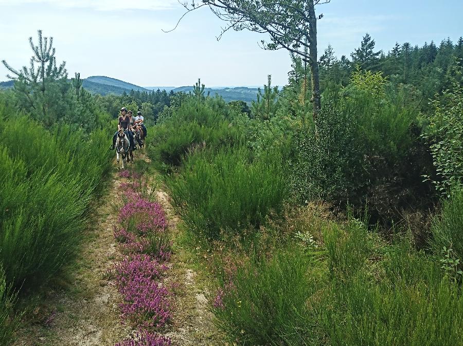 Stage quitation Corrze PNR de Millevaches en Limousin