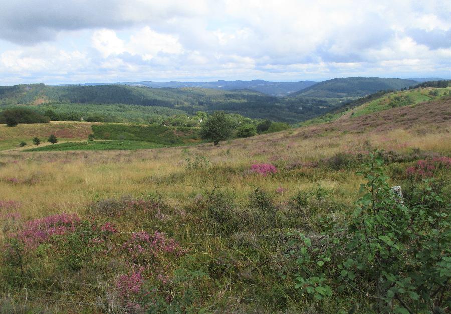 Stage quitation Corrze PNR de Millevaches en Limousin photo 5